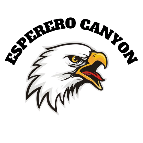 ECMS Eagle logo